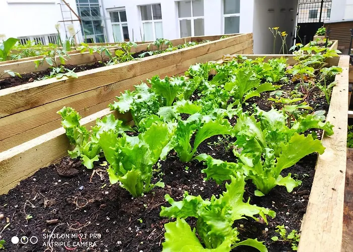 Chopin Boutique Апарт-отель Варшава