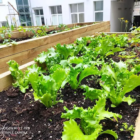 Chopin Boutique 아파트호텔 바르샤바