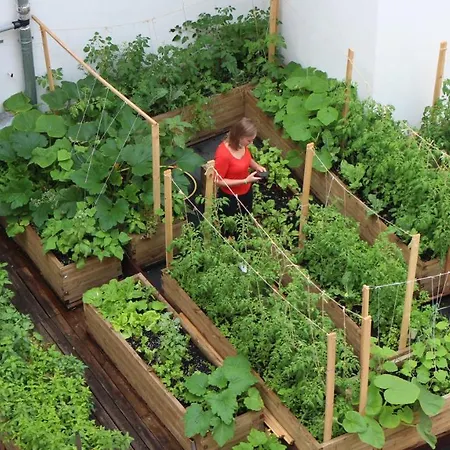 شقة فندقية Chopin Boutique وارسو