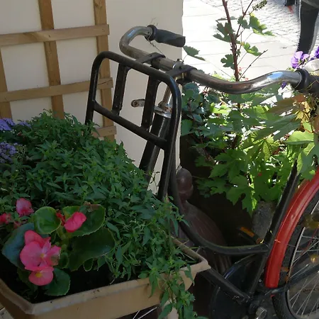 아파트호텔 Chopin Boutique