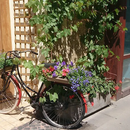 Chopin Boutique 4* وارسو