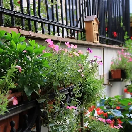 شقة فندقية Chopin Boutique 4*