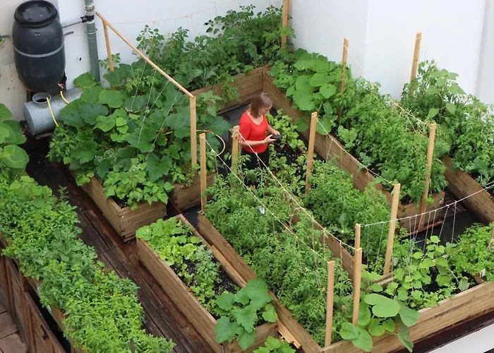 Hotel apartamentowy Chopin Boutique Warszawa