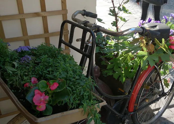 Hotel apartamentowy Chopin Boutique